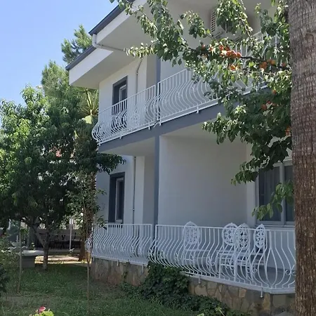 Bizim Kelebek 3*