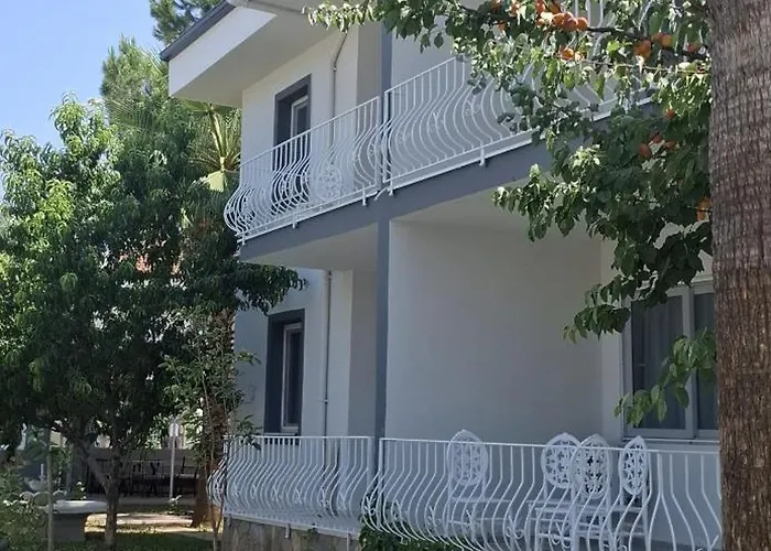 Bizim Kelebek 3*